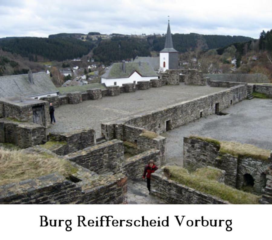 Ferienwohnung Gross B Schleiden Extérieur photo